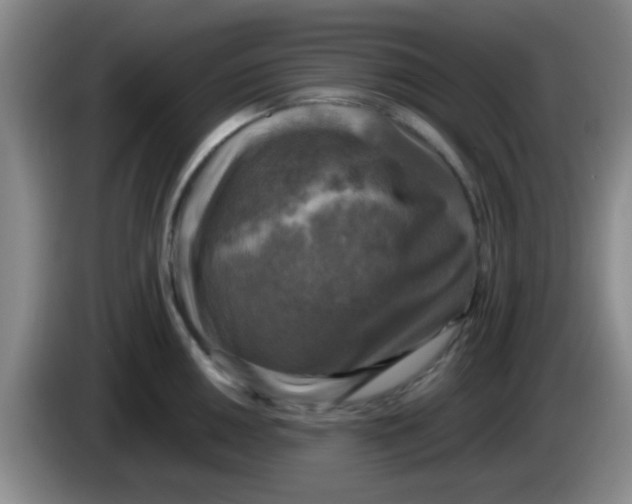 X0000083561050200703091612