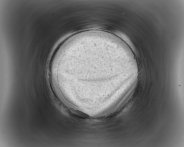 X0000083561051200703091612