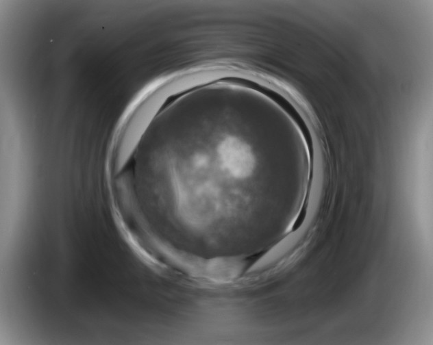 X0000083561054200703091612