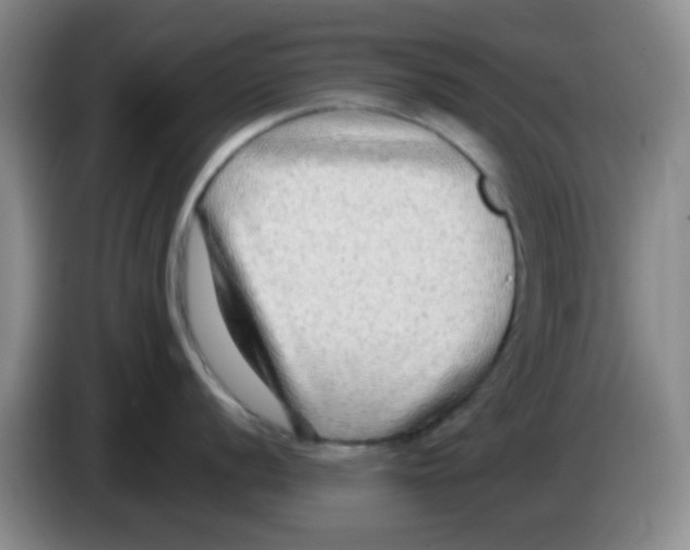 X0000083561056200703091612