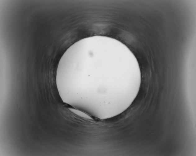 X0000083561058200703091612