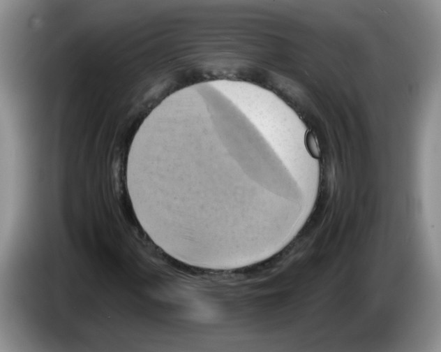 X0000083561060200703091611