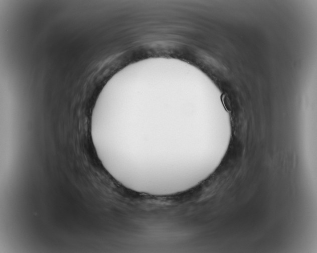 X0000083561061200703091611