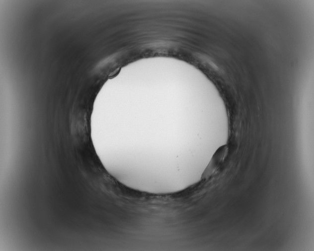 X0000083561062200703091611