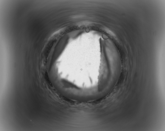 X0000083561063200703091611