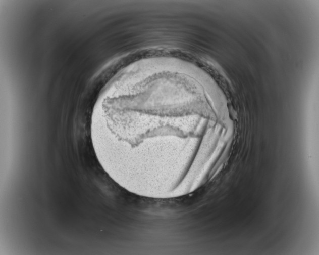 X0000083561064200703091611