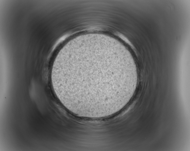 X0000083561067200703091611