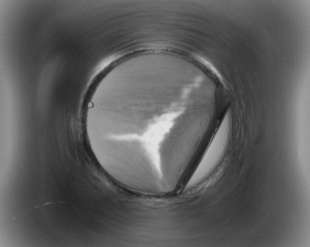 X0000083561071200703091611