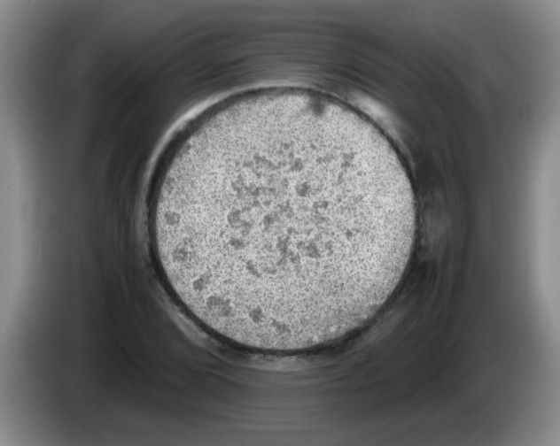 X0000083561072200703091611