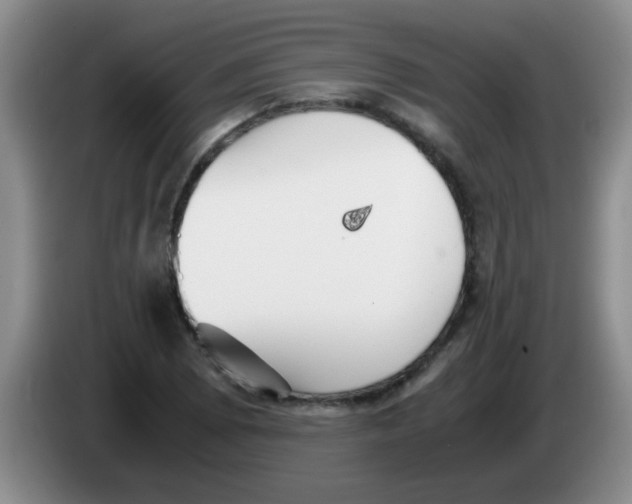 X0000083561073200703091611