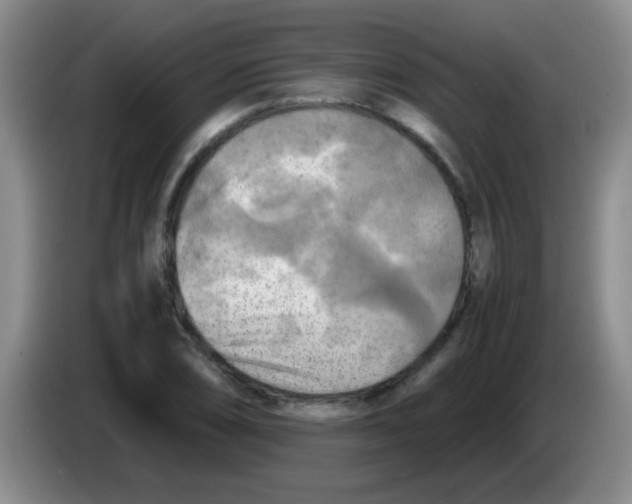 X0000083561074200703091611