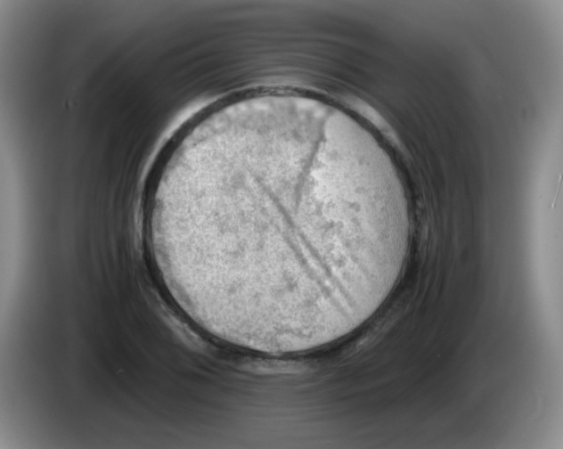 X0000083561076200703091611