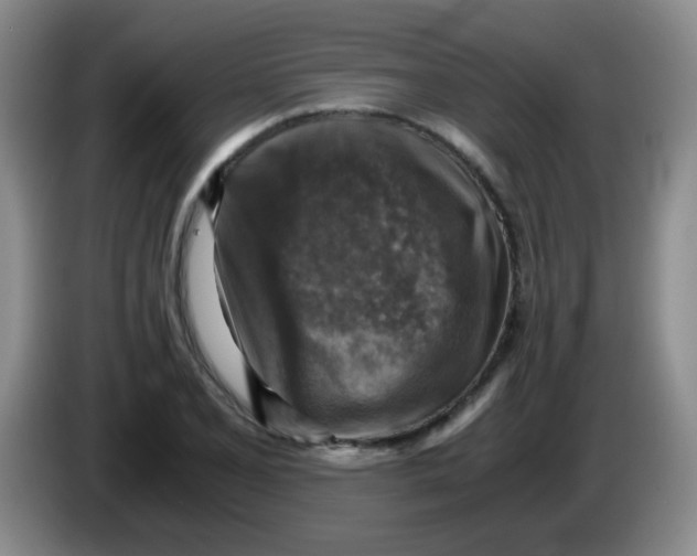 X0000083561077200703091611