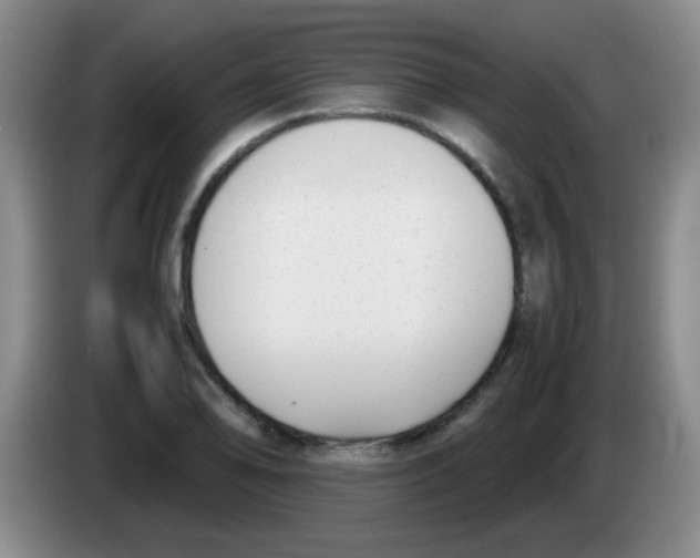 X0000083561078200703091611