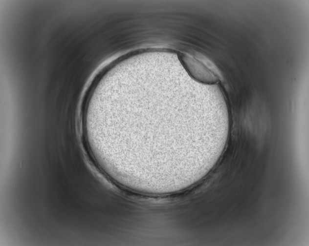 X0000083561080200703091611