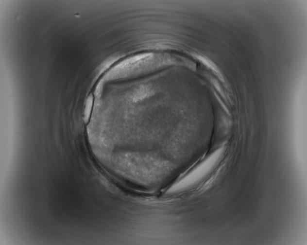 X0000083561081200703091611