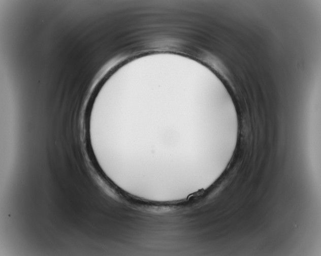 X0000083561082200703091611