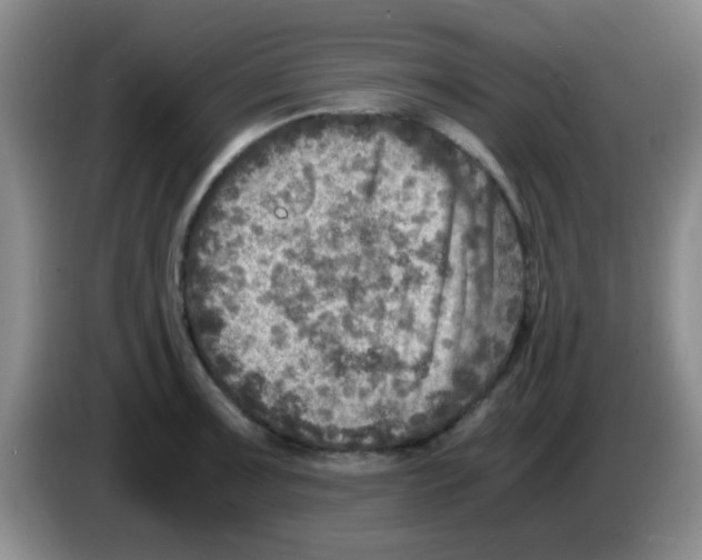 X0000083561091200703091611