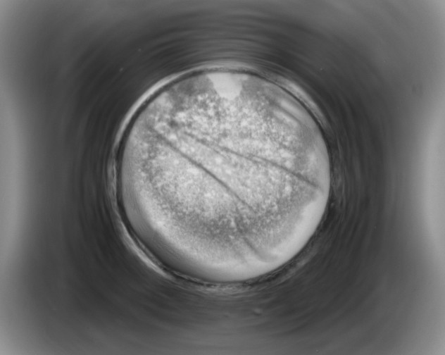 X0000083561092200703091611