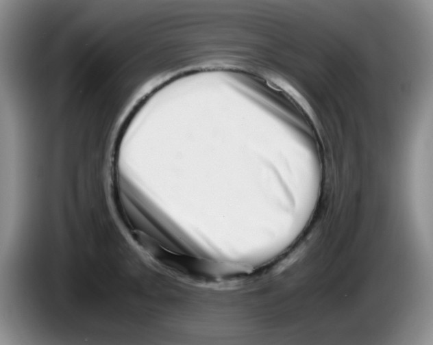 X0000083561093200703091611