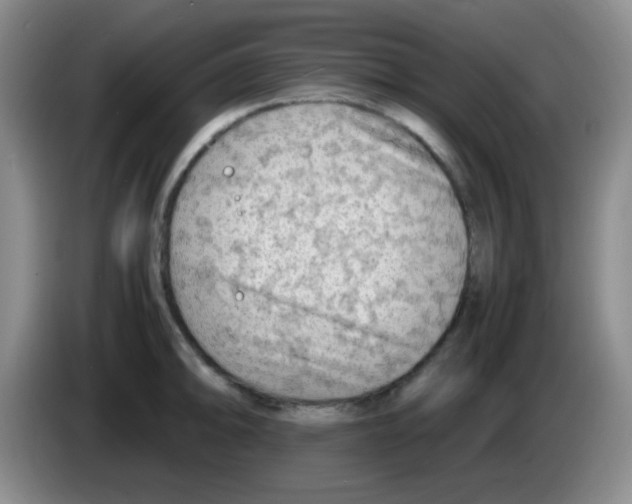 X0000083561094200703091611