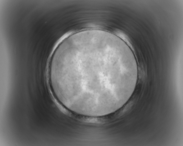 X0000083561098200703091611