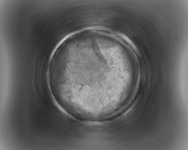 X0000083561100200703091611