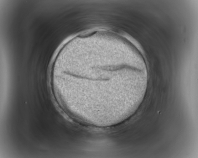 X0000083561104200703091611