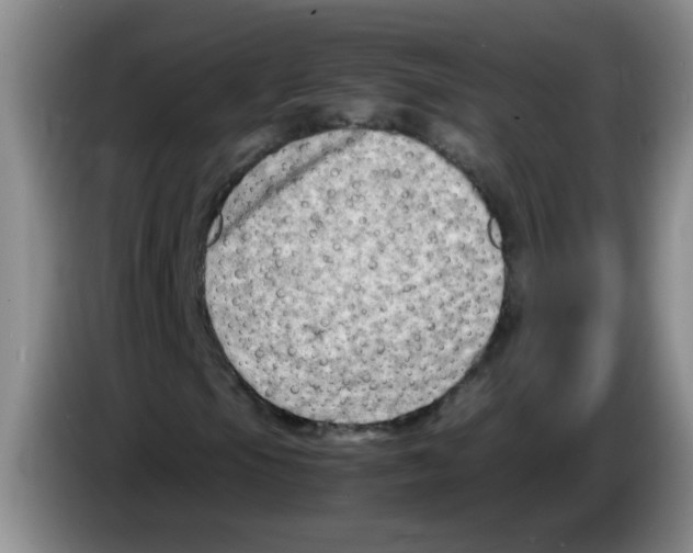 X0000083561105200703091610