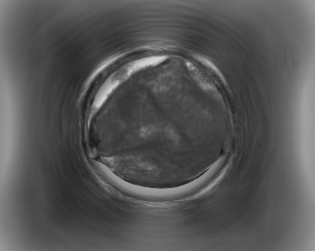 X0000083561114200703091610