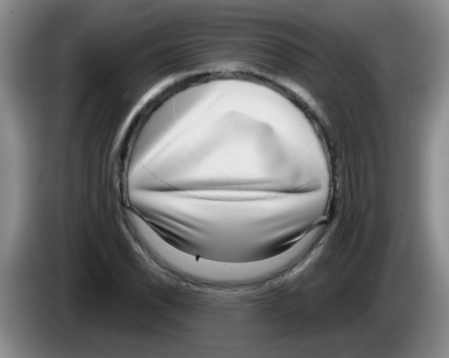 X0000083561118200703091610