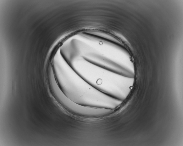 X0000083561122200703091610