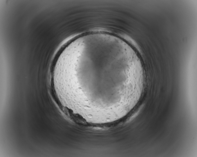 X0000083561125200703091611