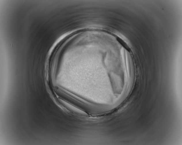 X0000083561128200703091611