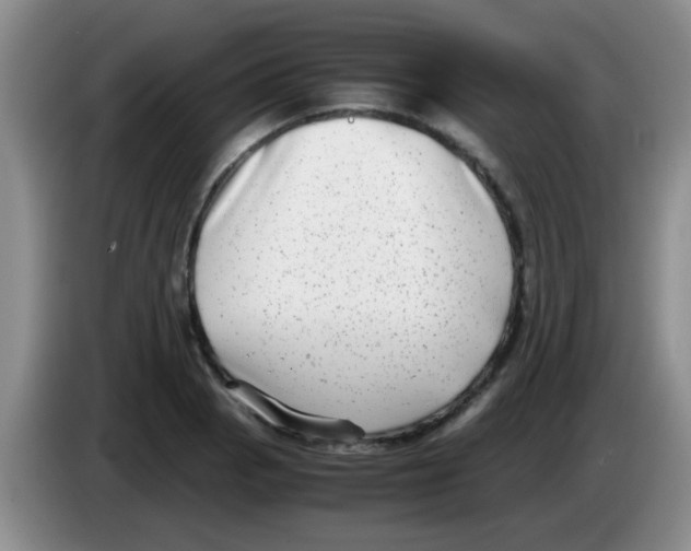 X0000083561129200703091611