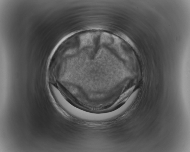 X0000083561132200703091611