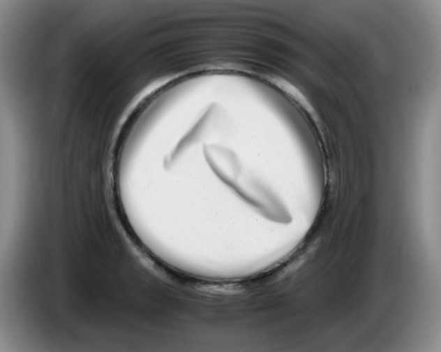 X0000083561133200703091611