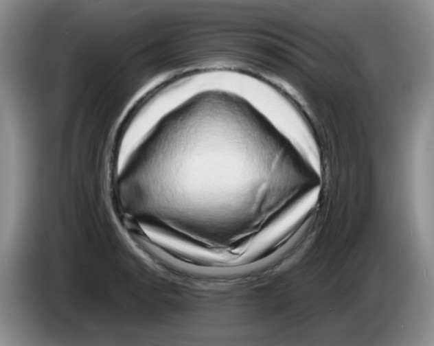 X0000083561134200703091611