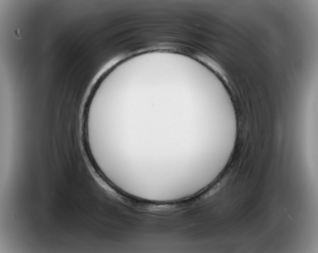 X0000083561135200703091611