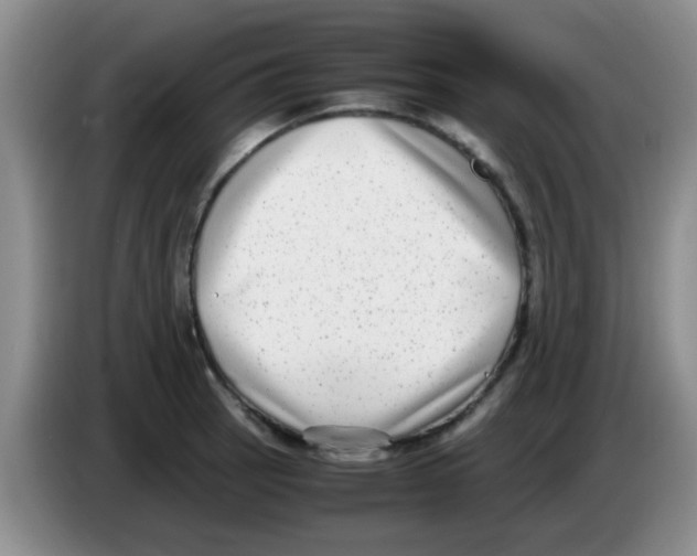 X0000083561137200703091611