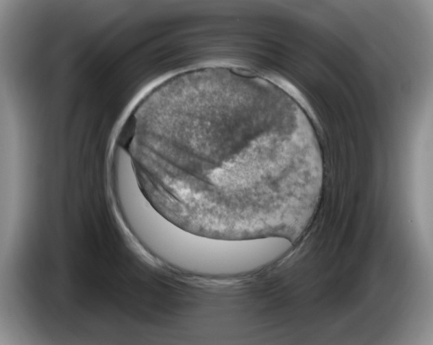 X0000083561140200703091611