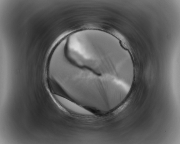 X0000083561141200703091611