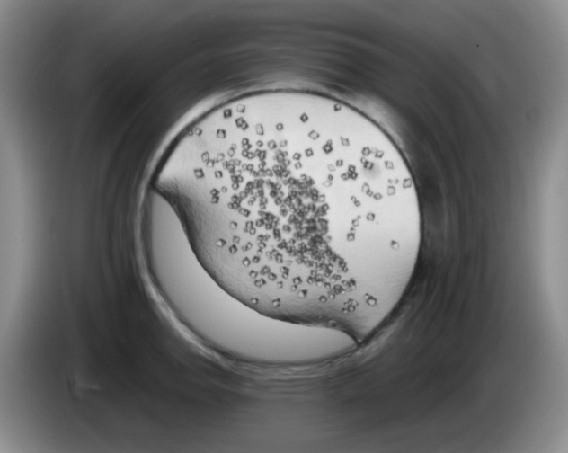 X0000083561142200703091611