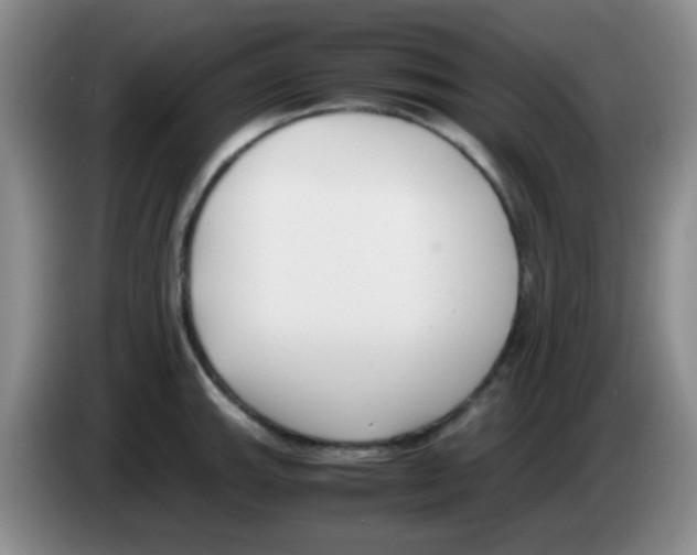 X0000083561143200703091611