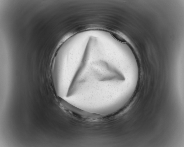 X0000083561145200703091611