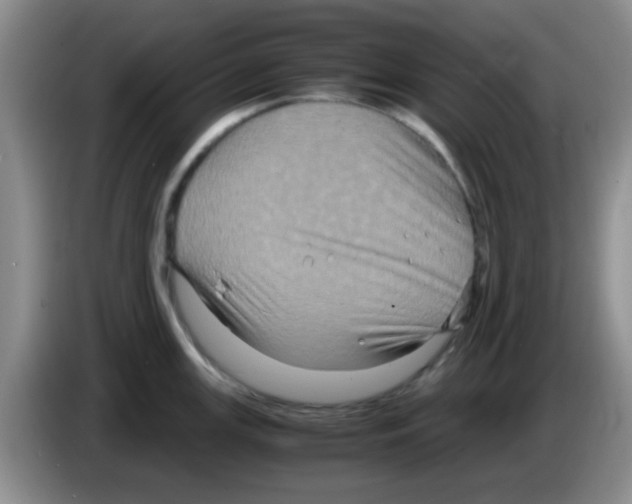 X0000083561147200703091611