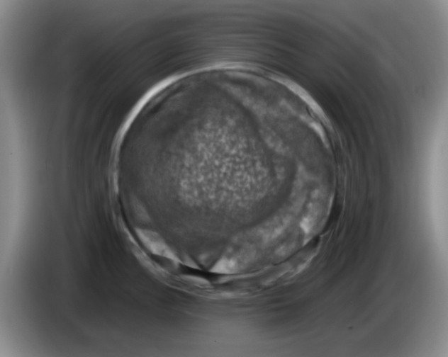 X0000083561148200703091611