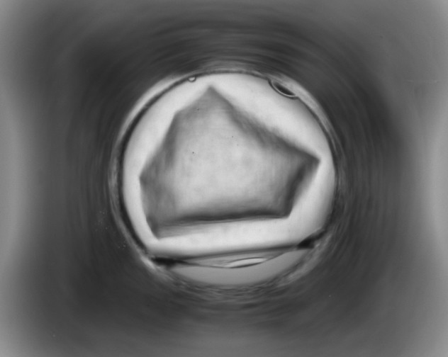 X0000083561149200703091611