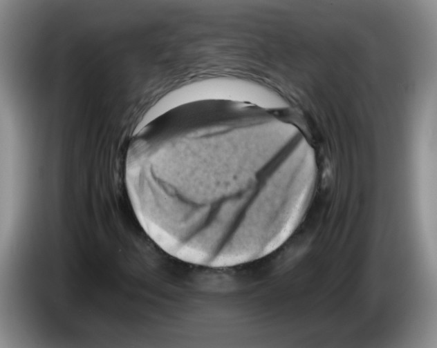 X0000083561156200703091610