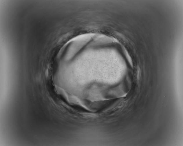 X0000083561157200703091610